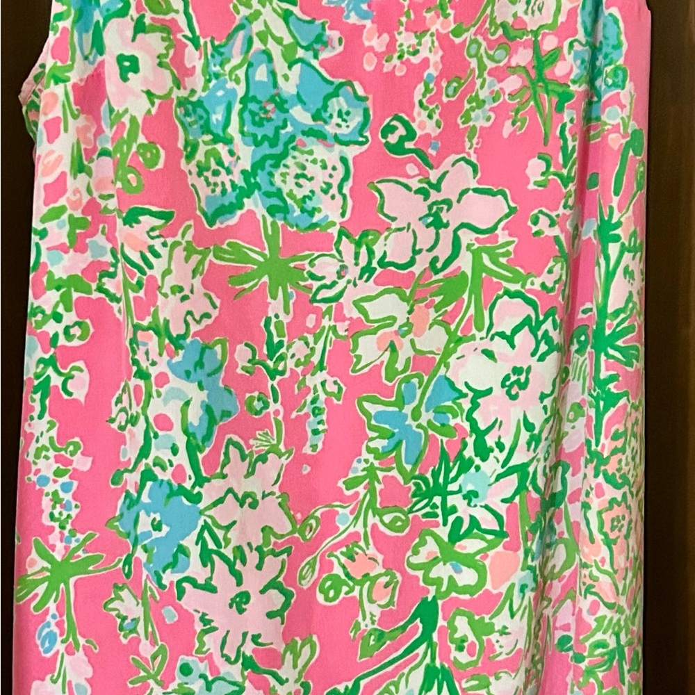 Lilly Pulitzer Pink and Green Floral Lined Dress